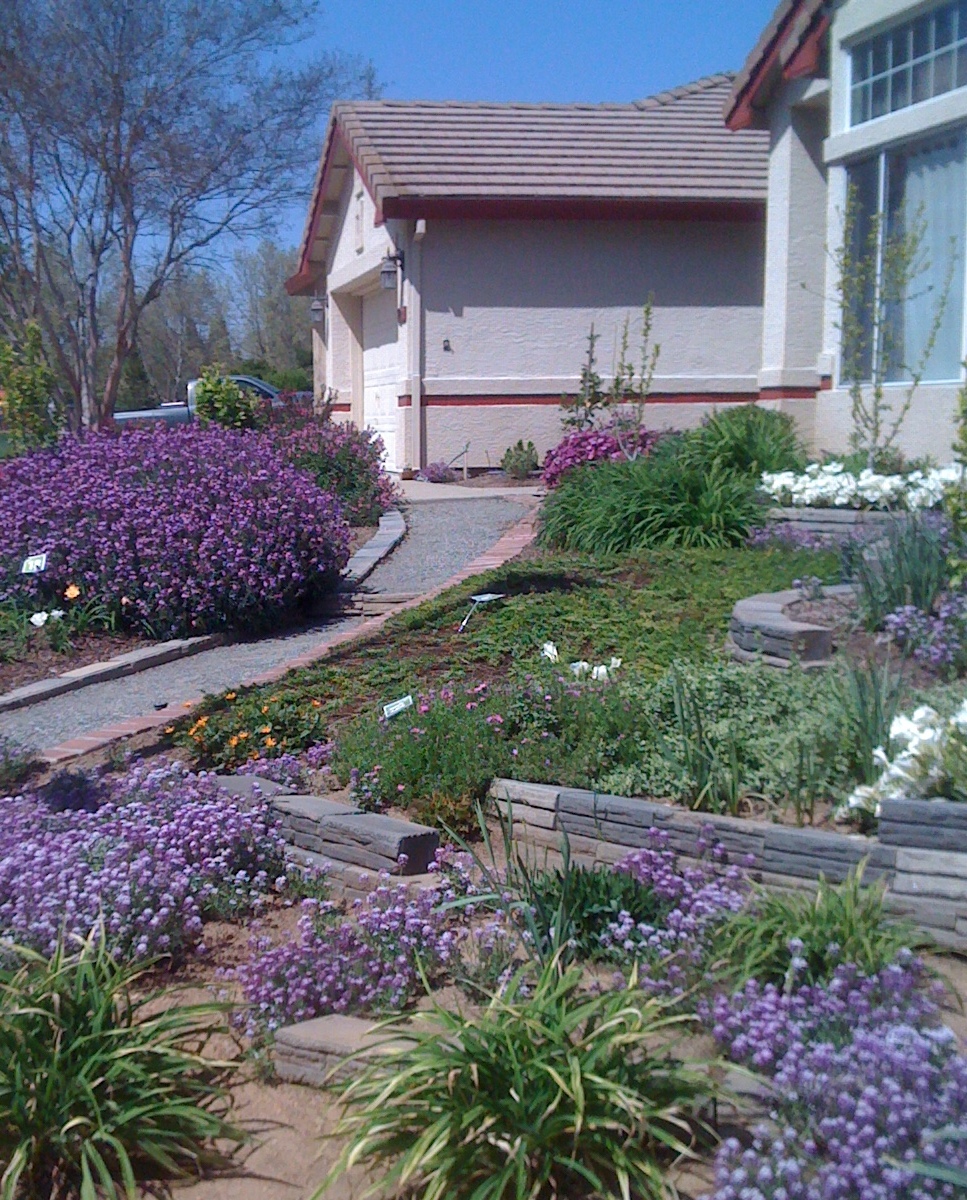 Geno's Garden Design & Coaching | : Lawn-Free Garden Tour