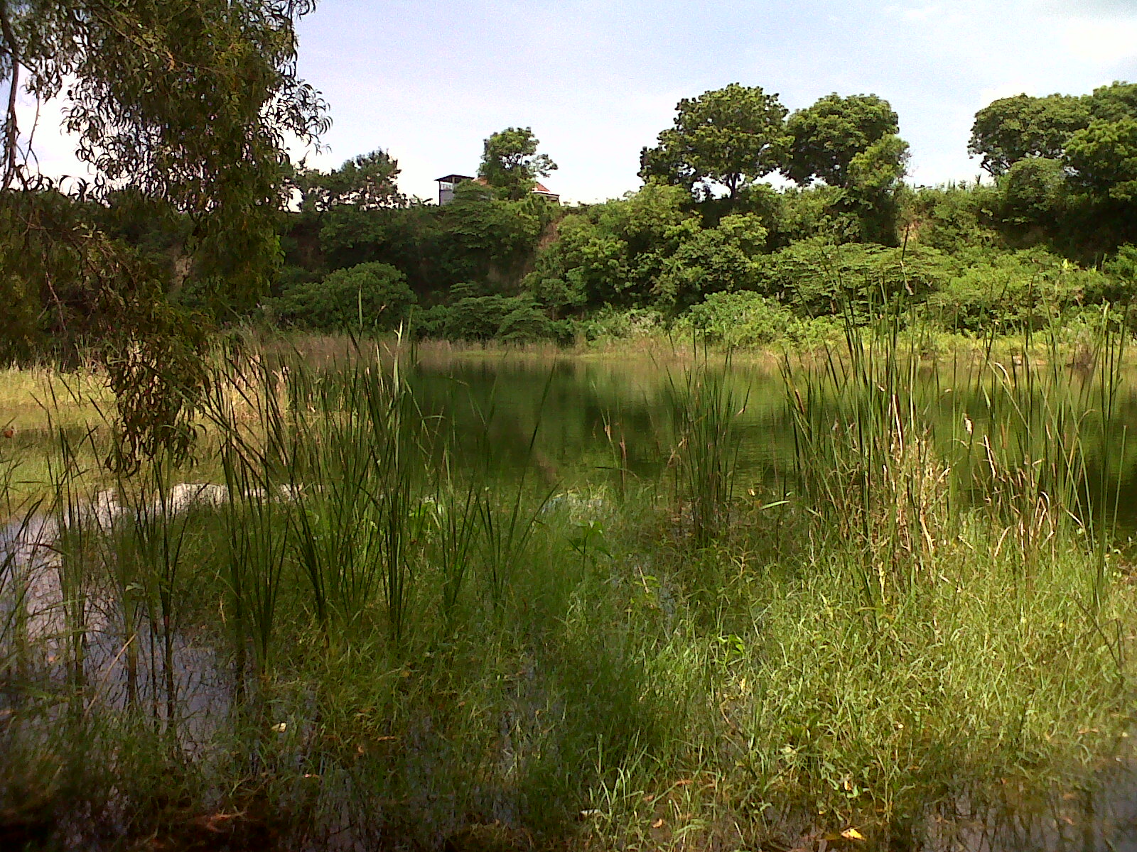 Teknik Dasar Memancing: Metode troling dan umpan koncer ...
