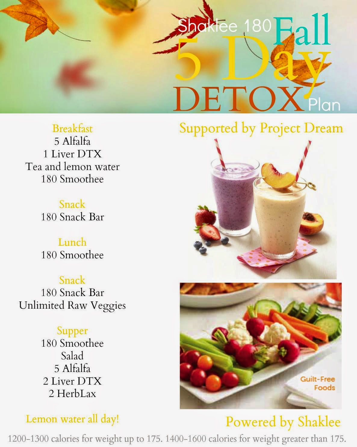 SykesterMom {Fall 5 Day Detox and Reset}