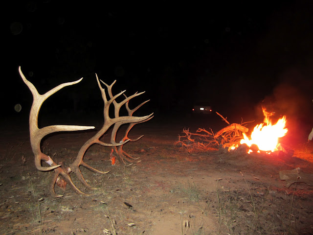 Successful+elk+hunt+in+Arizona+with+Colburn+and+Scott+Outfitters.JPG
