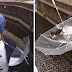 20+ Photos That Will Restore Your Faith In Humanity