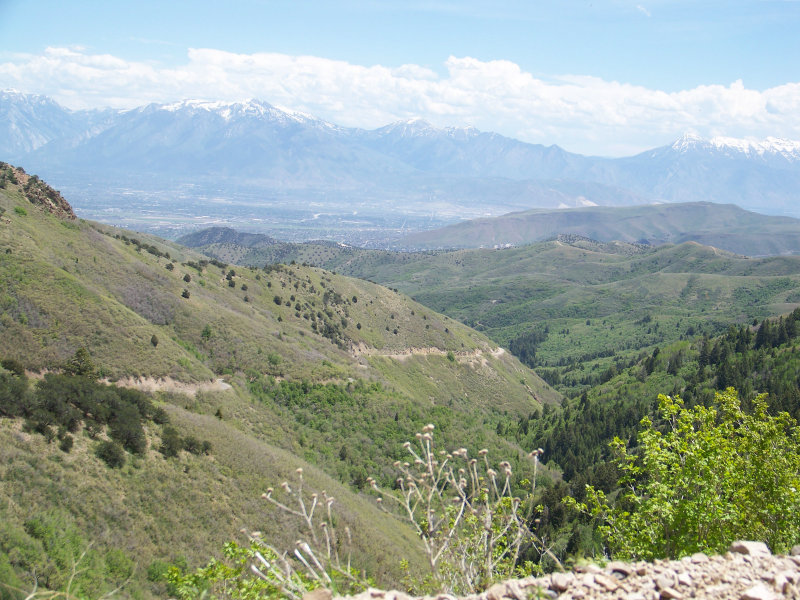 Runaway Bridal Planner Butterfield Canyon, Utah