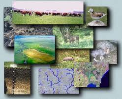 Recursos Naturales De Venezuela Renovables Y No Renovables