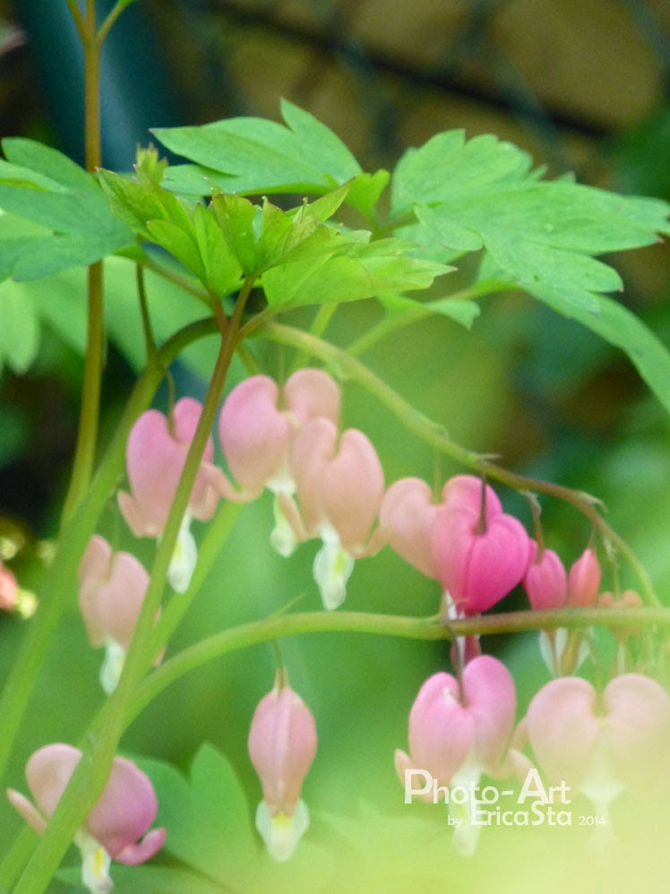 Soul And Mind And So On