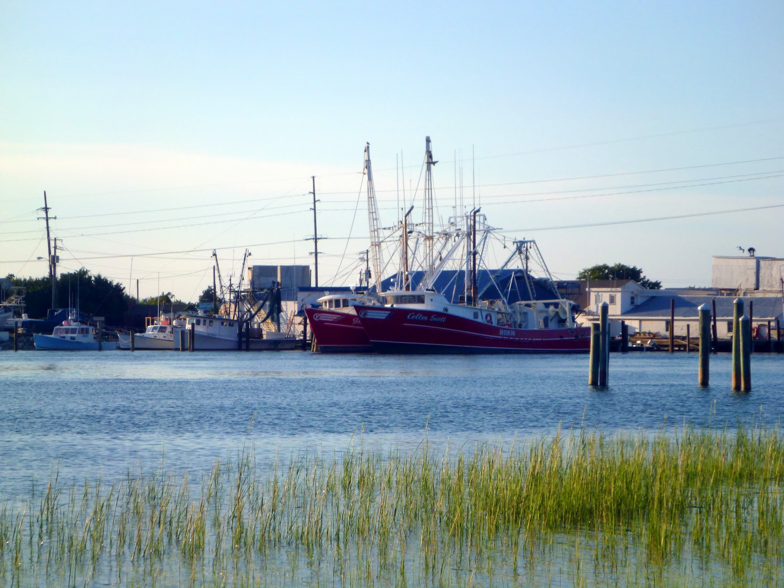 Virginia Living Museum Photos of Beaufort, NC Trawling and dredging