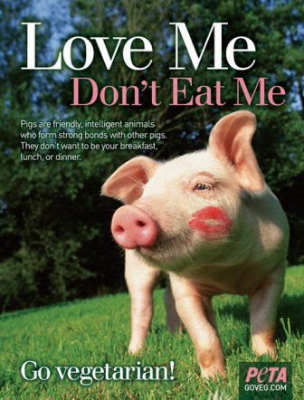Love Me Don't Eat Me