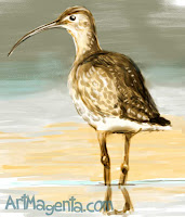 Curlew  is a bird painting by ArtMagenta