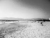 venice beach