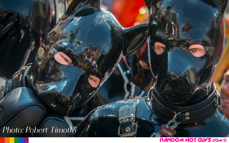 Photo by Robert Timothy. Copyright.