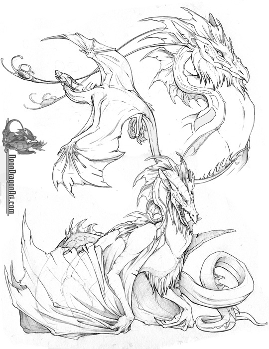 drawings dragons
