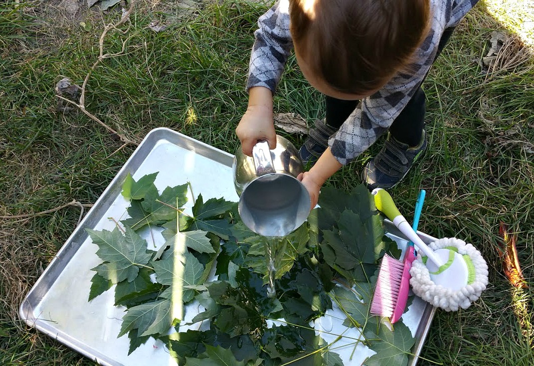 Maple Leaf Science how to extract chlorophyll and paint a duck KidMinds