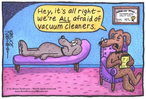 funny-dog-cartoon-afraid-vacuum-cleaner.jpg