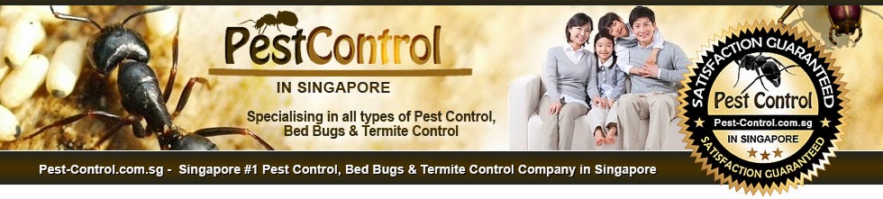 Pest Control Letter To Tenant