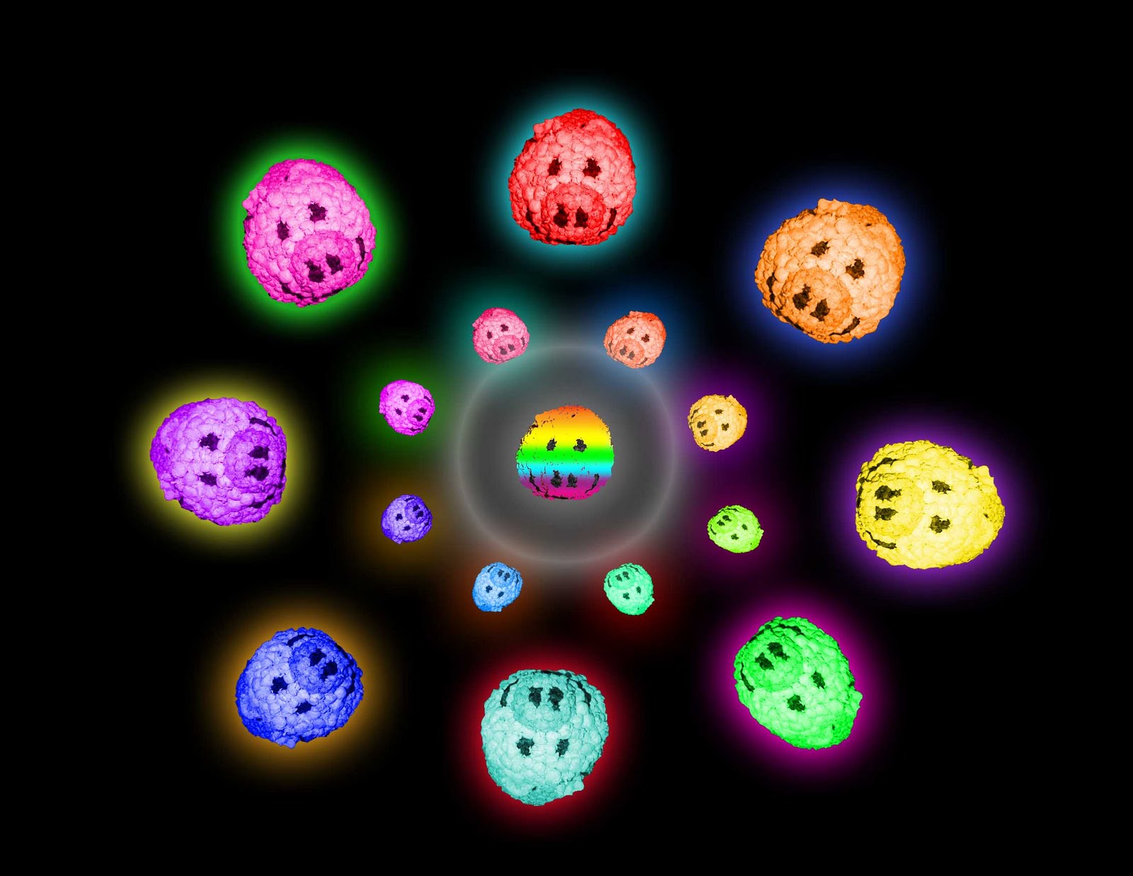 rainbow pig