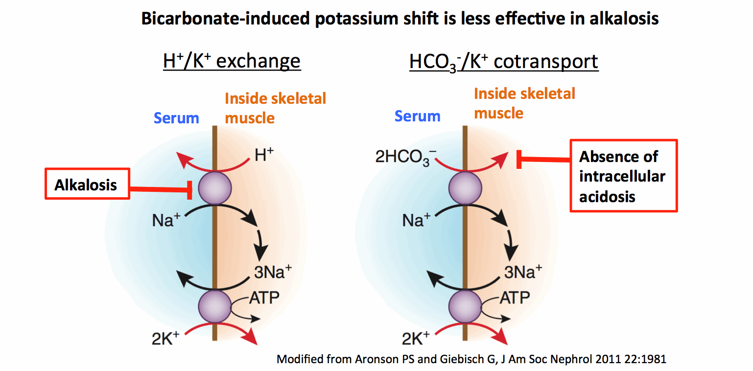 how does lasix decrease potassium