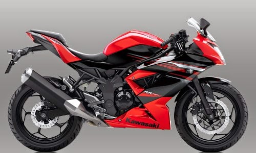 Kawasaki Ninja RR Mono Kawasaki Ninja RR Mono