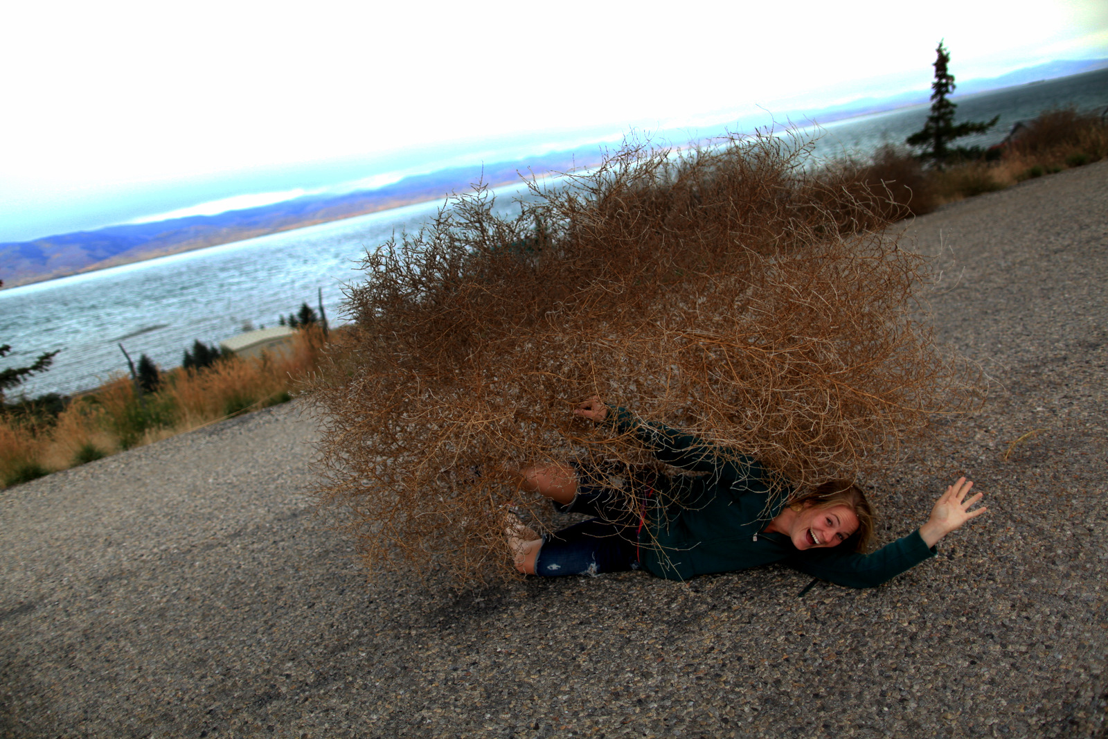 Attack of the Tumbleweeds!