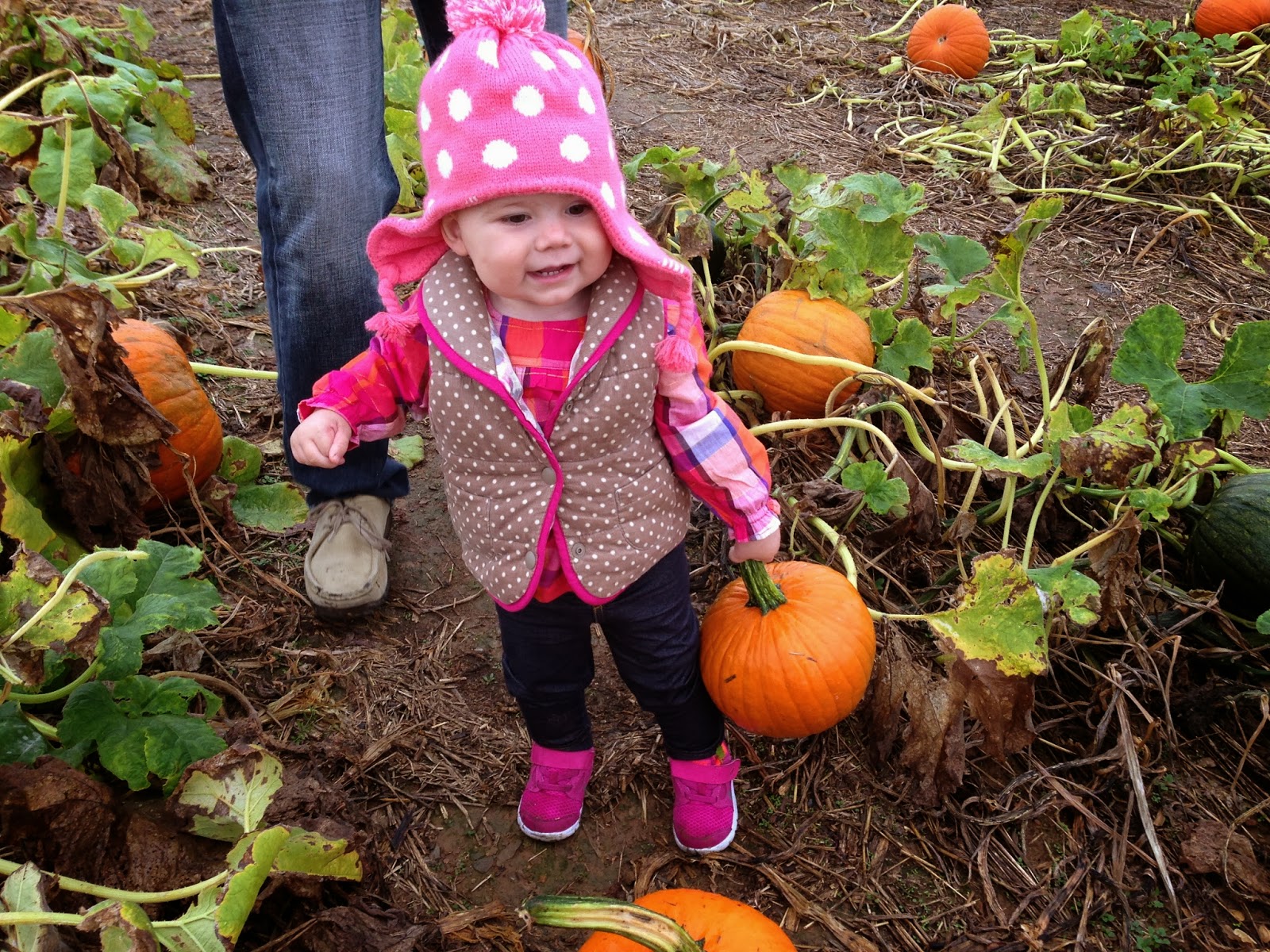 Fall Fun Champagne Saturday