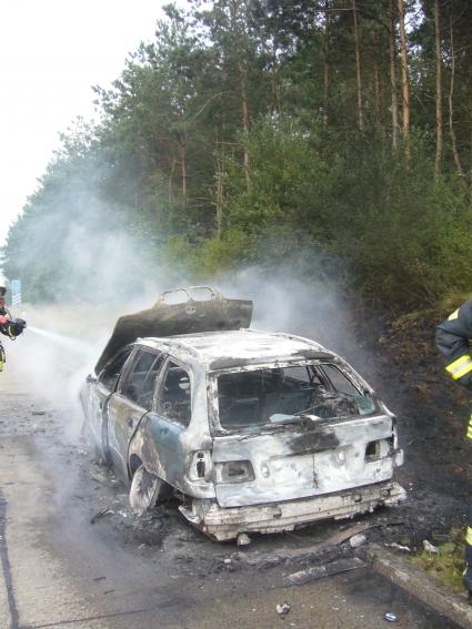 Mucke Vom Old Inn Meta Und Fehnhaus 2020