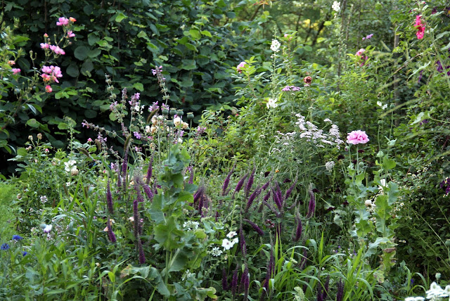 Ma Terre De Bruyere Passons En Revue Tous Les Oublies Du Jardin