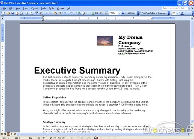 what is the executive summary in a business plan