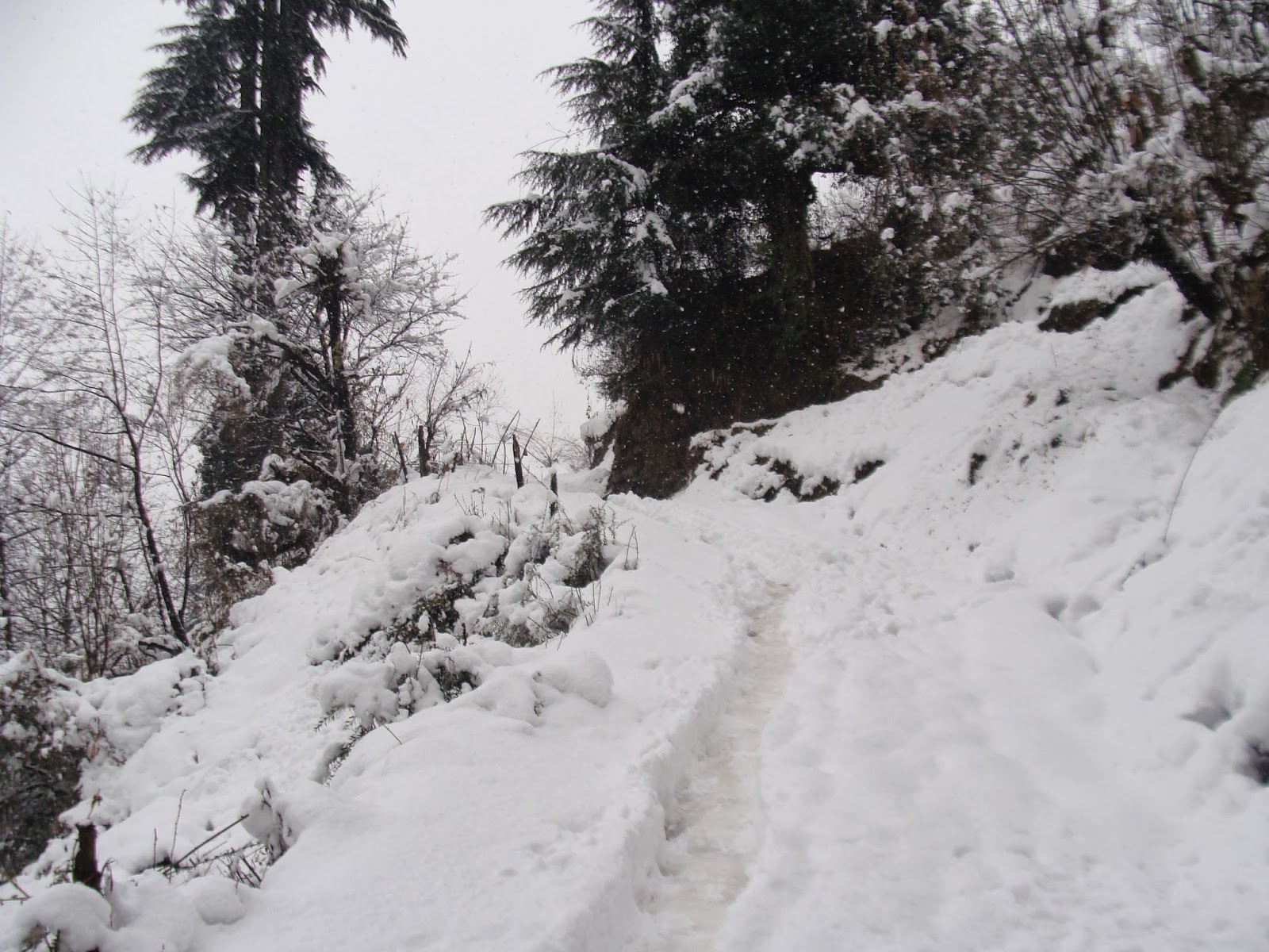 Manali Bookings Fresh snowfall in Manali