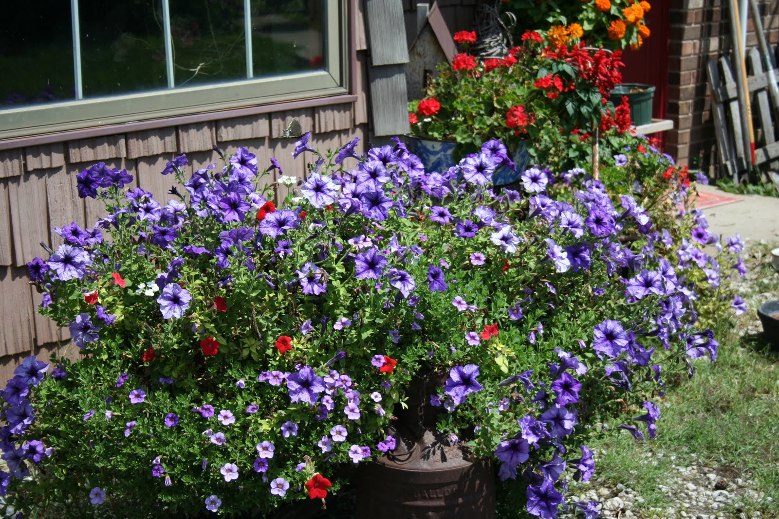 Quaker Hill Farm The summer Garden