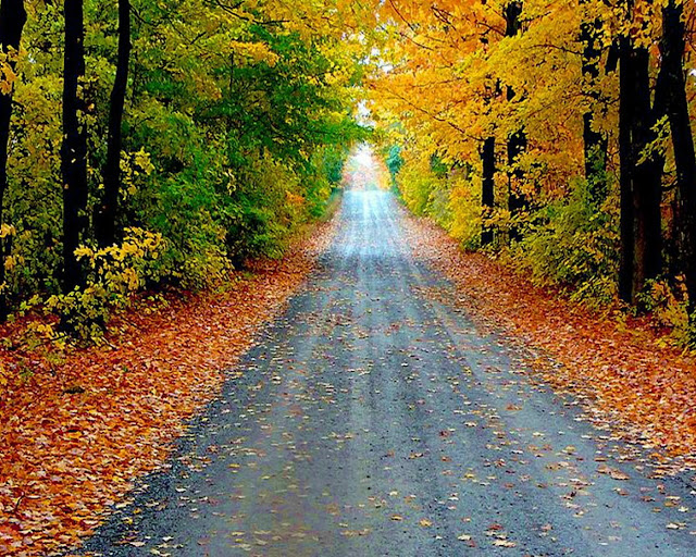 Autumn-pictures-+Wallpaper-Photos-gallery-2011-028