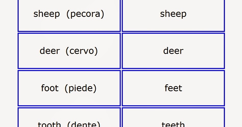 Homework singular or plural picture