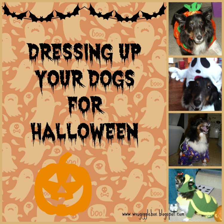 Dressing up your dogs for Halloween Gigglebox Tells it Like it is
