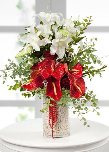 Bornova Cicekci Izmir Bayrakli Cicekci Bayrakli Cicek Siparisi Bayrakli Cicek Gonder Bayrakli Cicekci Bayrakli Cicekciler Bayrakli Cicek Yolla Bayrakli Cicekci Bayrakli Cicekci Si Ibayrakli Cicekci Yolla Bayrakli Cicekci Ara Bayrakli Cicekci Bul