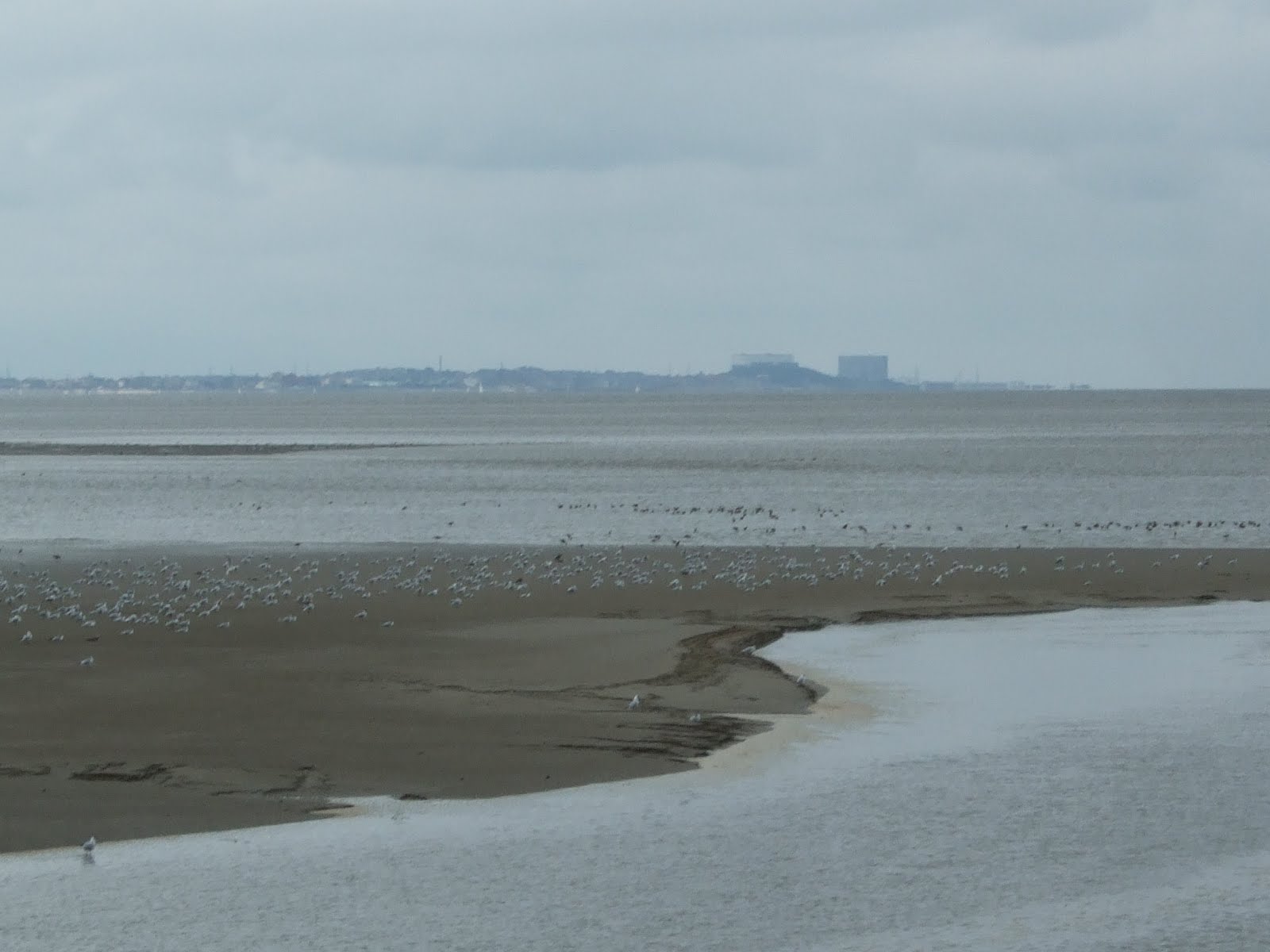 Here, There and an Attempt on Everywhere Morecambe Bay and Sunderland Point
