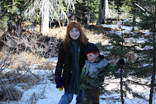 Annual Christmas Tree Adventure