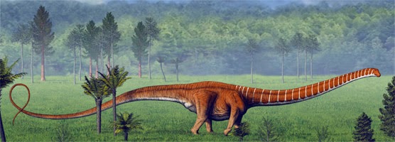 barosaurus size related keywords
