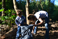Limpian el Bosque Alegre en San Isidro