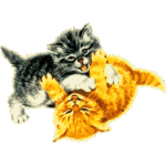 cats_140.gif