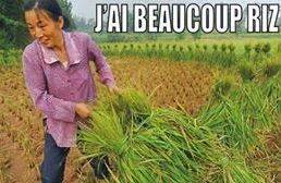 j%27ai+bcp+riz.JPG