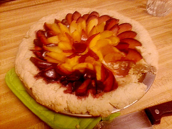 Beautiful Piping Hot Tart covered in nectarines, plums and apricots.