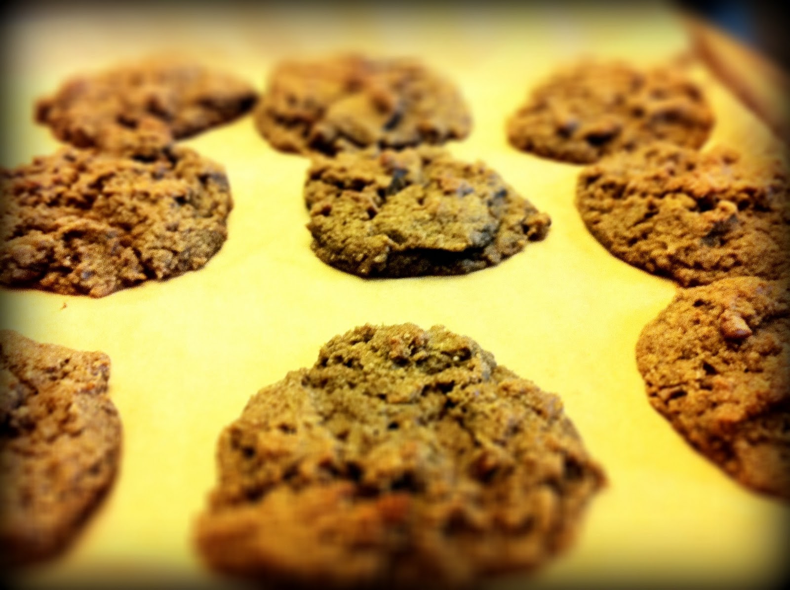 riddlelove GlutenFree, GrainFree Persimmon Cookies A Recipe