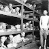 Entenda a verdade: 15 Fotos e 10 Fatos sobre o Holocausto