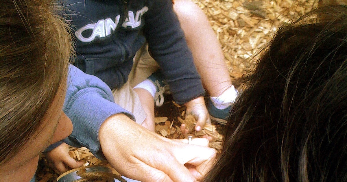 Teacher Tom Cooperative Nuts And Bolts Starting Your Own Preschool