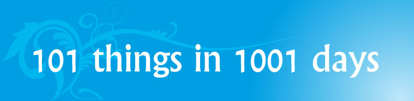 101 things in 1001 days