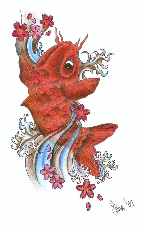 Koi Fish Cherry Blossom Tattoos Bản Vẽ X 226 Y Dựng C 244 Ng