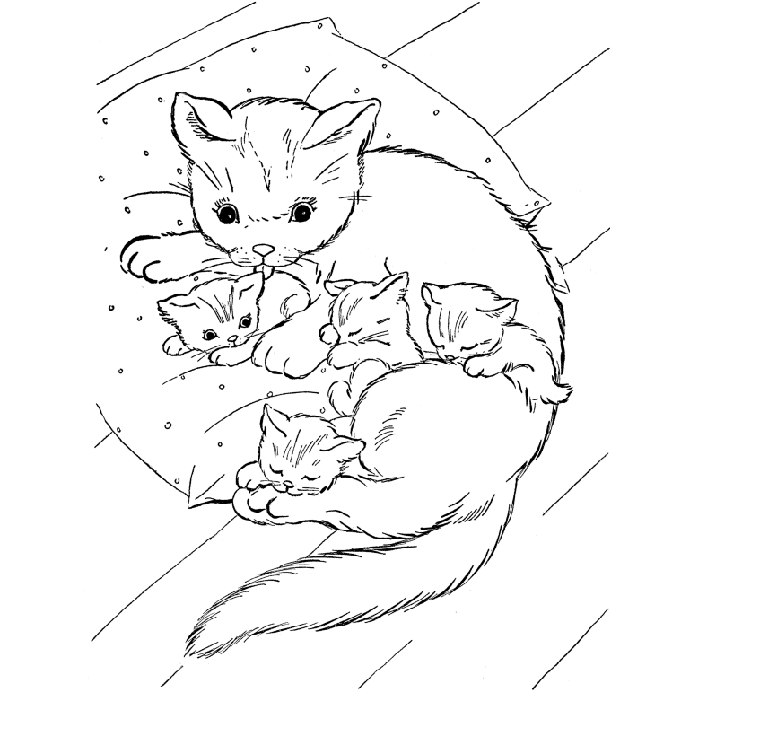 Cute Baby Cats - Coloring Pages Animal Pictures