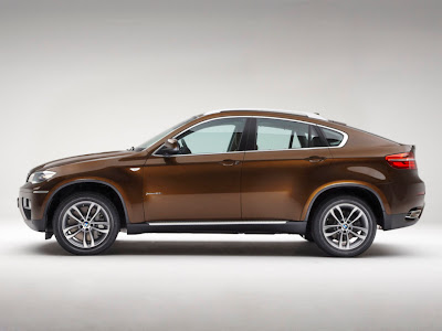 2013 BMW X6