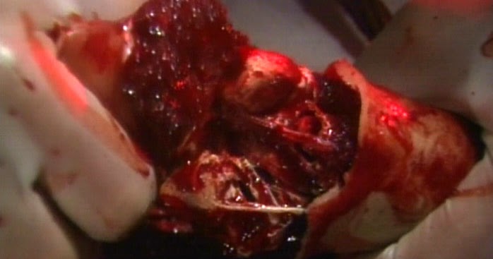 Guinea Pig 2 Flower Of Flesh And Blood