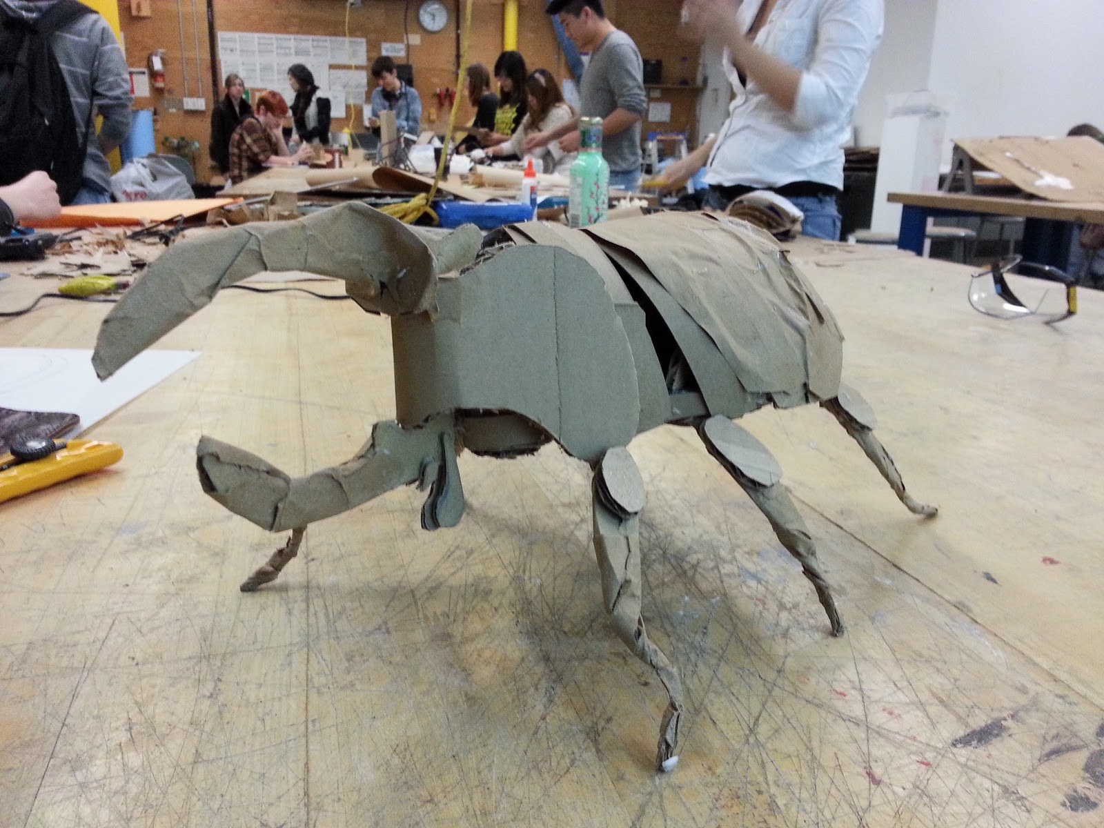 Does Cardboard Have Bugs at Betty Buono blog