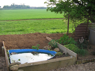 back end of allotment all leveled off and tidy.