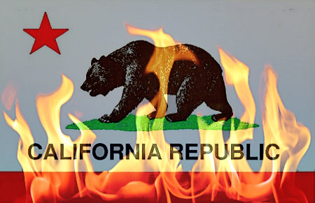Burning The California Bear Flag Virtually Burning The California Bear Flag Virtually