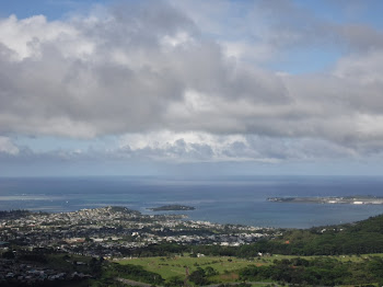 View of Kainua Bay from the Pali Lookout